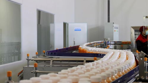 千企競“質(zhì)”，向“新”而行 小沙棘如何為鄉(xiāng)村振興注入強勁動能